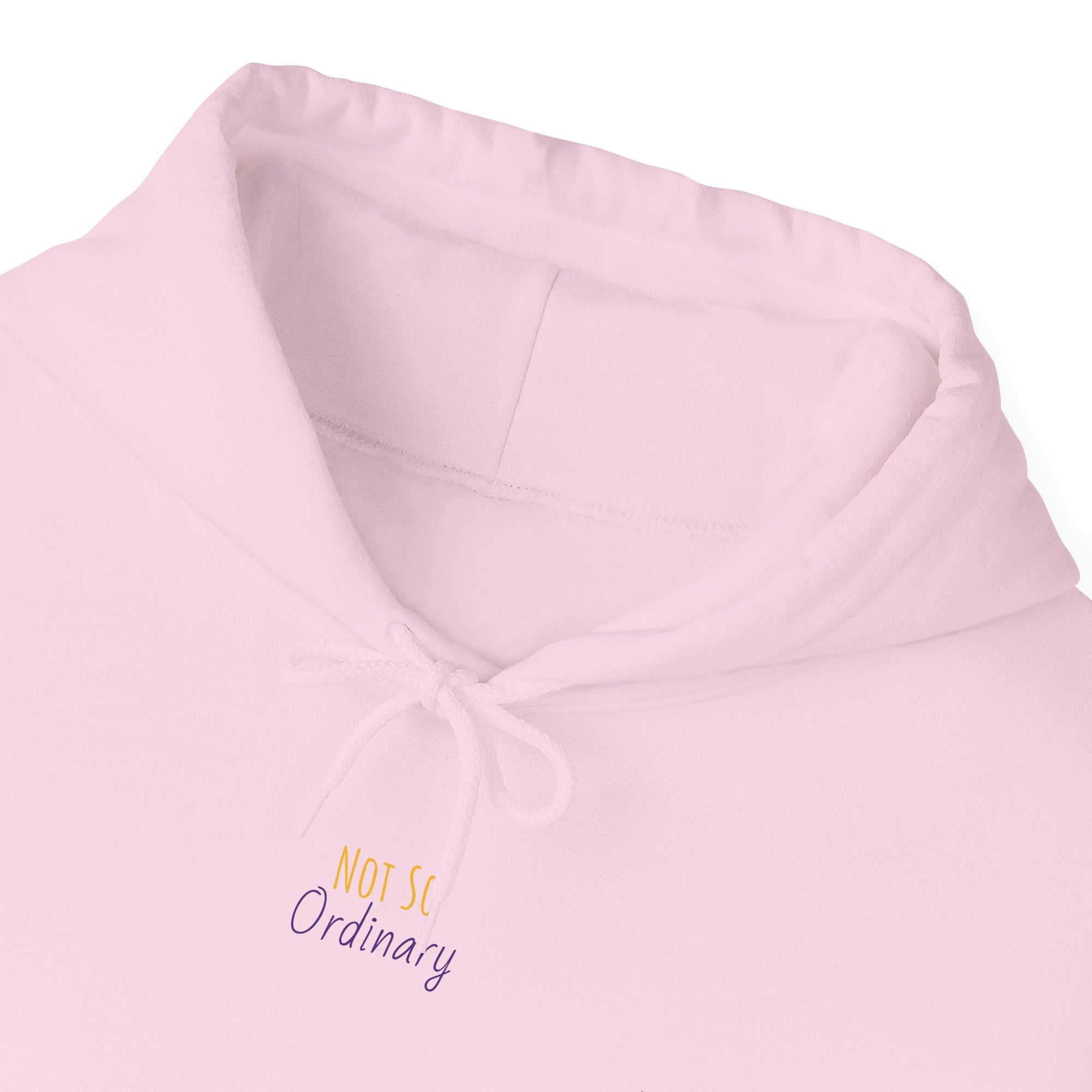 Ordinary Unisex Hooded Sweatshirt - Pink