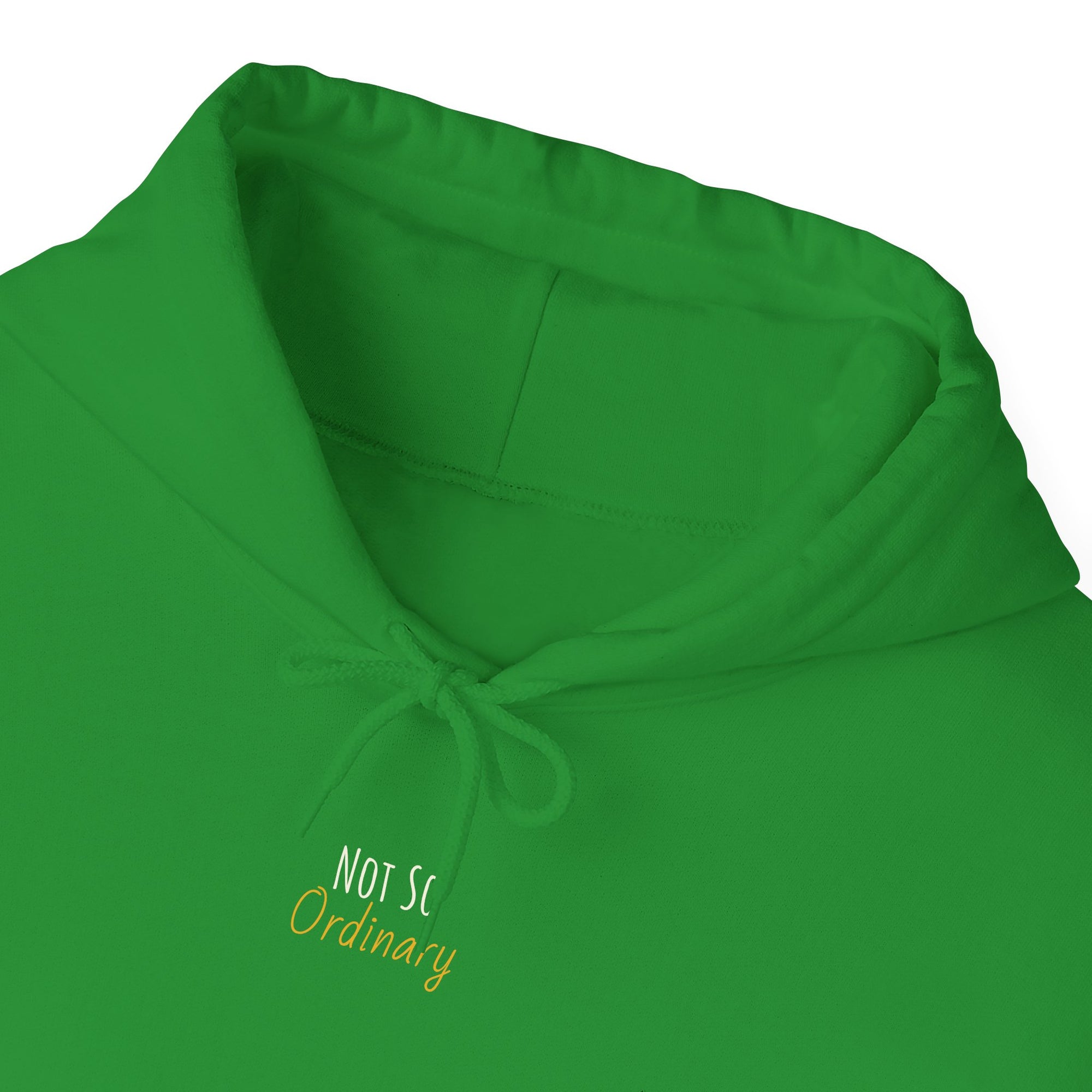 Ordinary Unisex Hooded Sweatshirt - Green