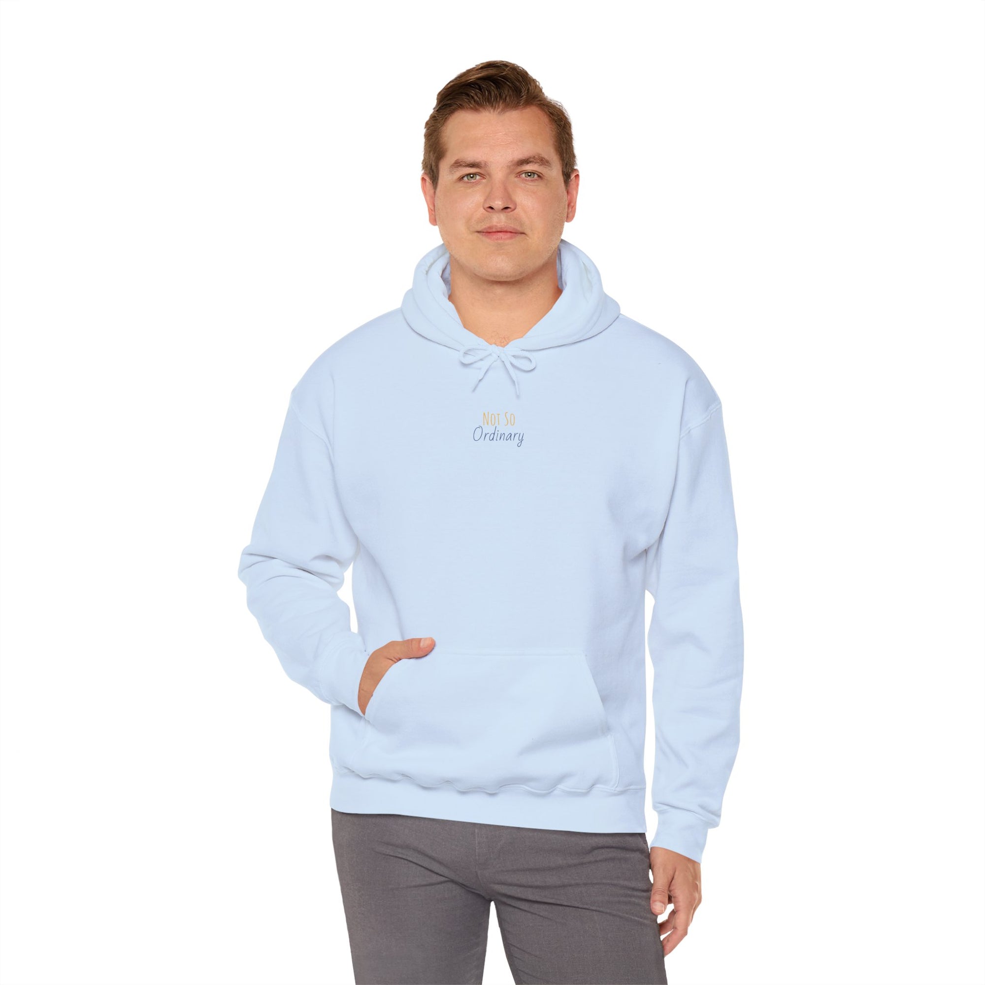 Ordinary Unisex Hooded Sweatshirt - Light Blue