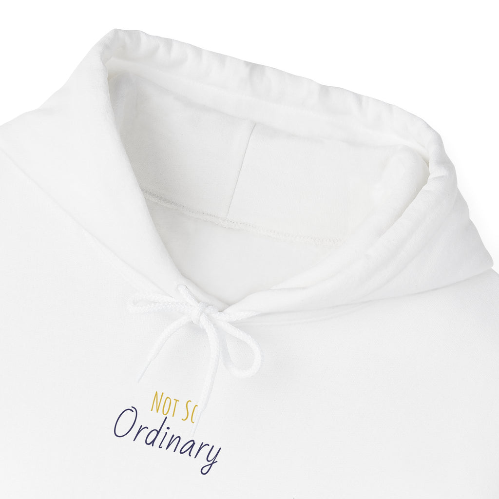Ordinary Unisex Hooded Sweatshirt - White