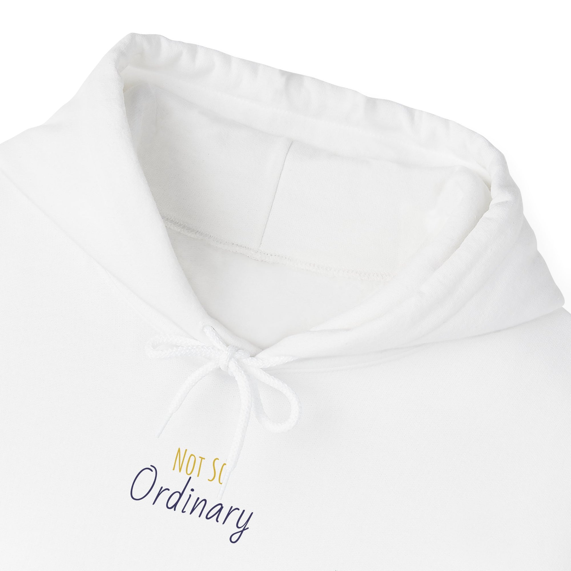 Ordinary Unisex Hooded Sweatshirt - White
