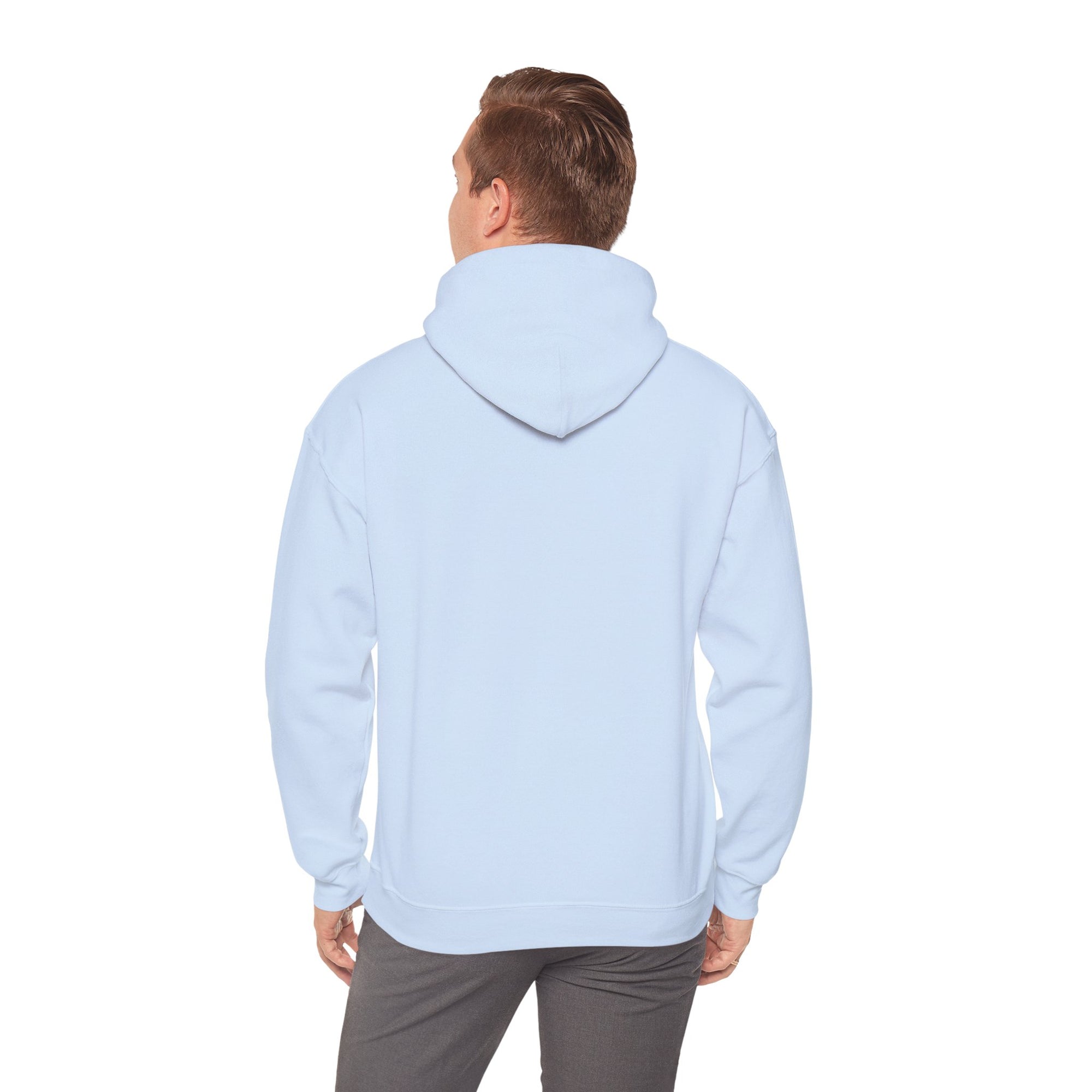 Ordinary Unisex Hooded Sweatshirt - Light Blue