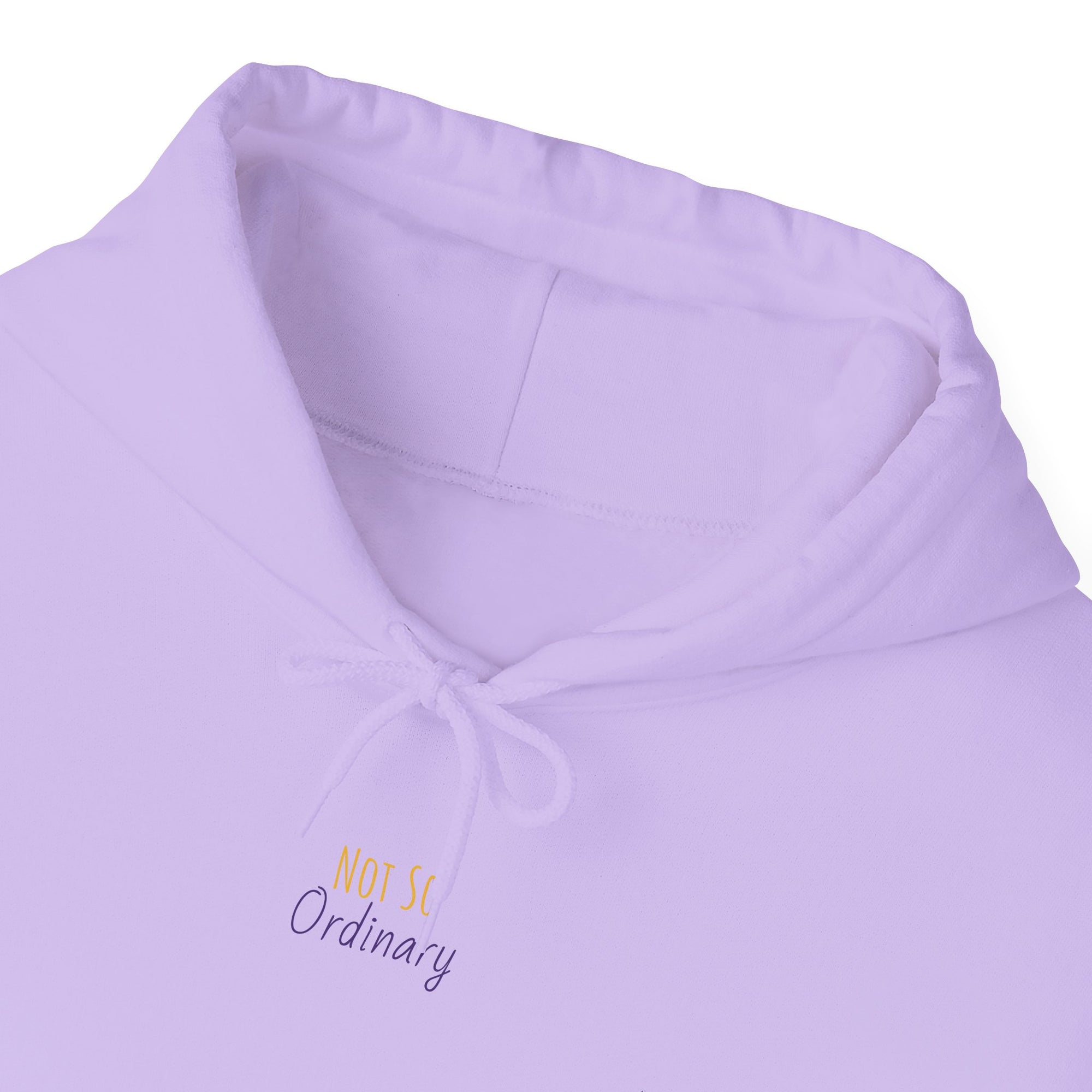 Ordinary Unisex Hooded Sweatshirt - Purple