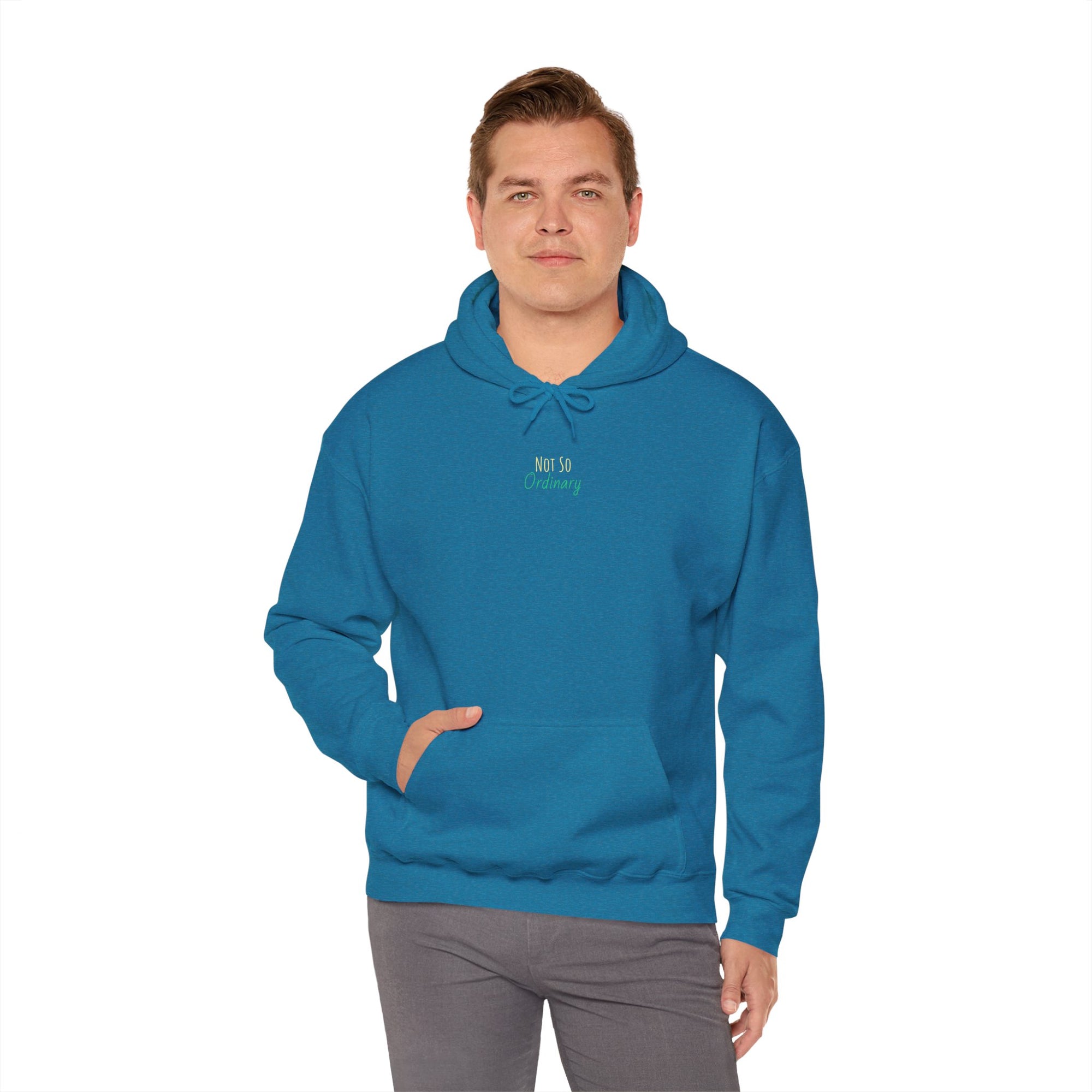 Ordinary Unisex Hooded Sweatshirt - Blue