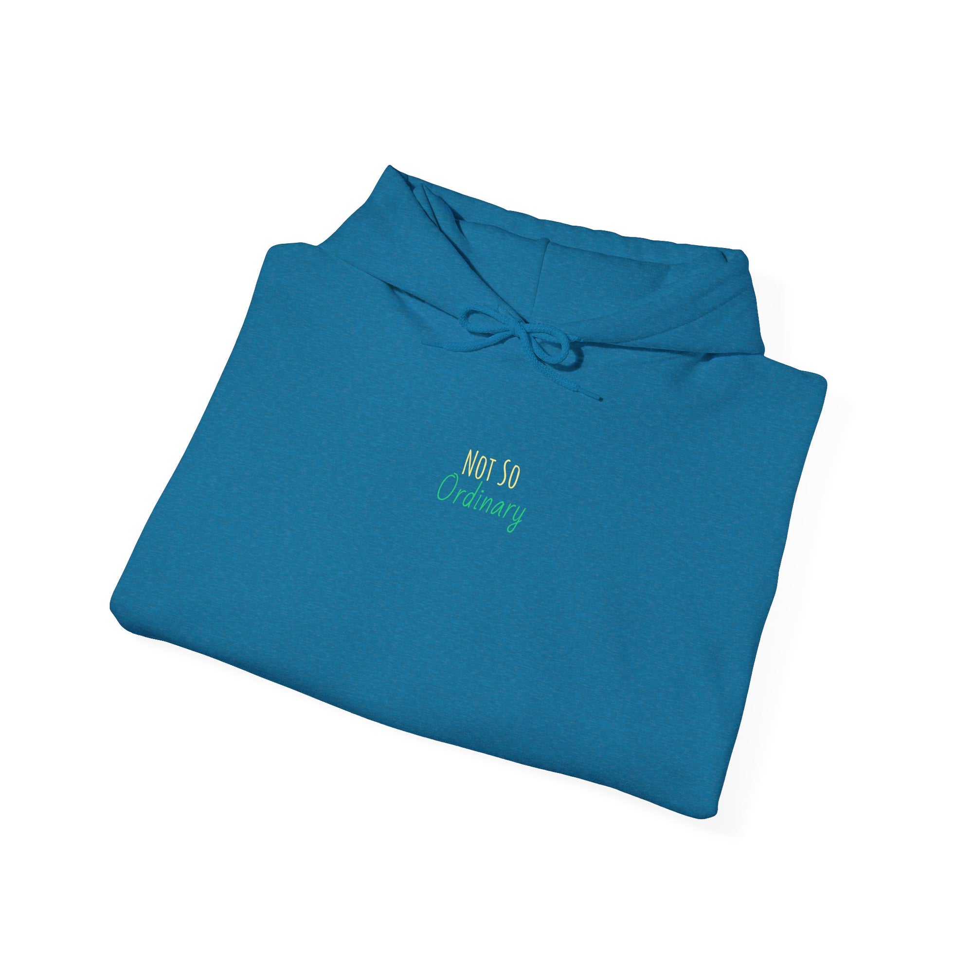 Ordinary Unisex Hooded Sweatshirt - Blue