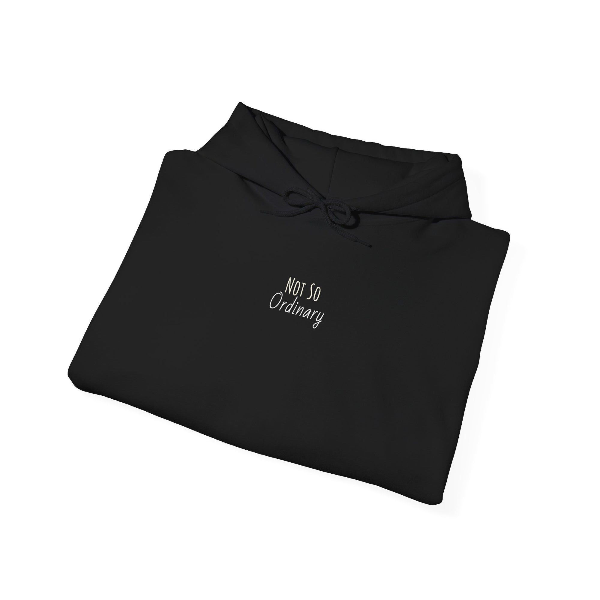 Ordinary Unisex Hooded Sweatshirt - Black