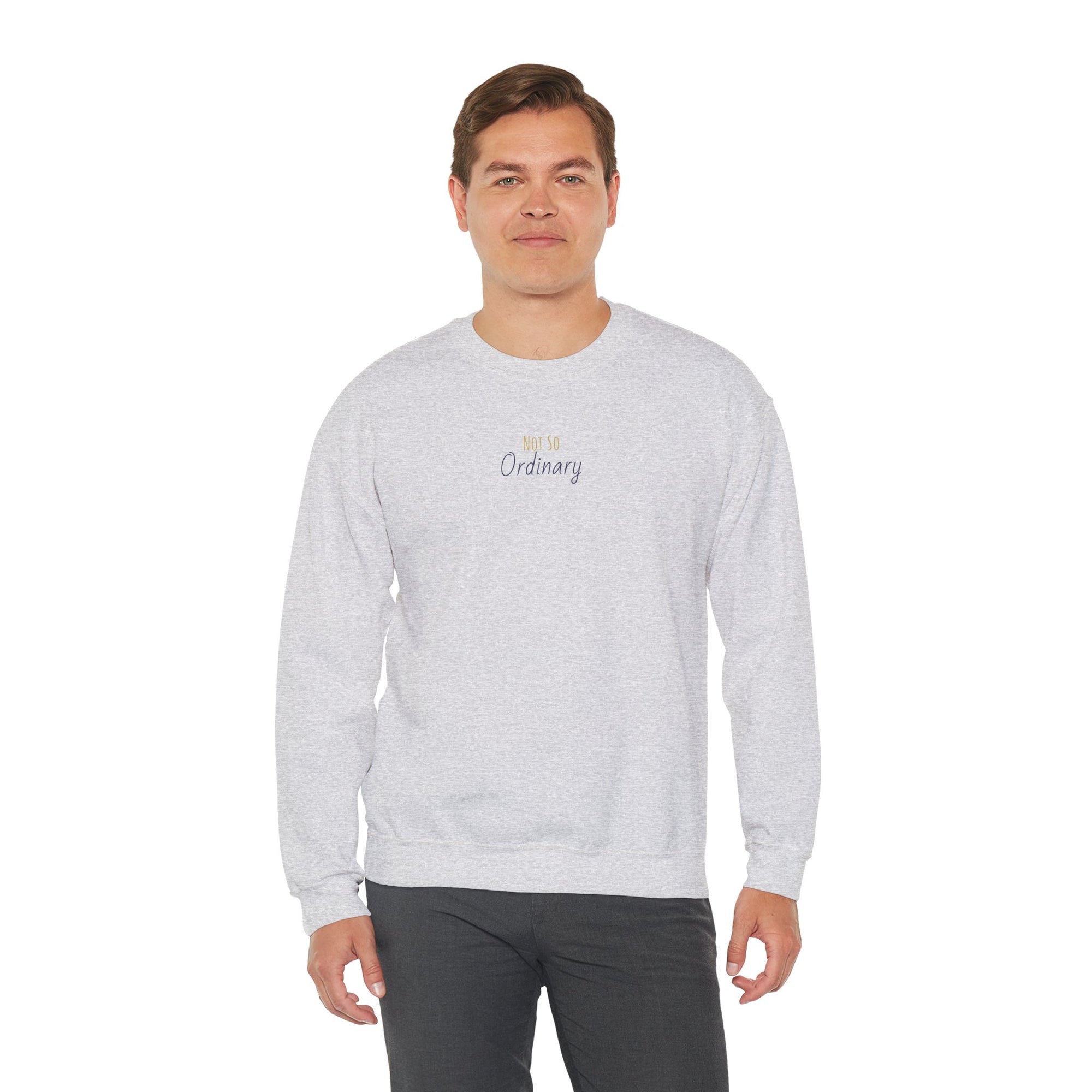 Ordinary Unisex Crewneck Sweatshirt - Ash