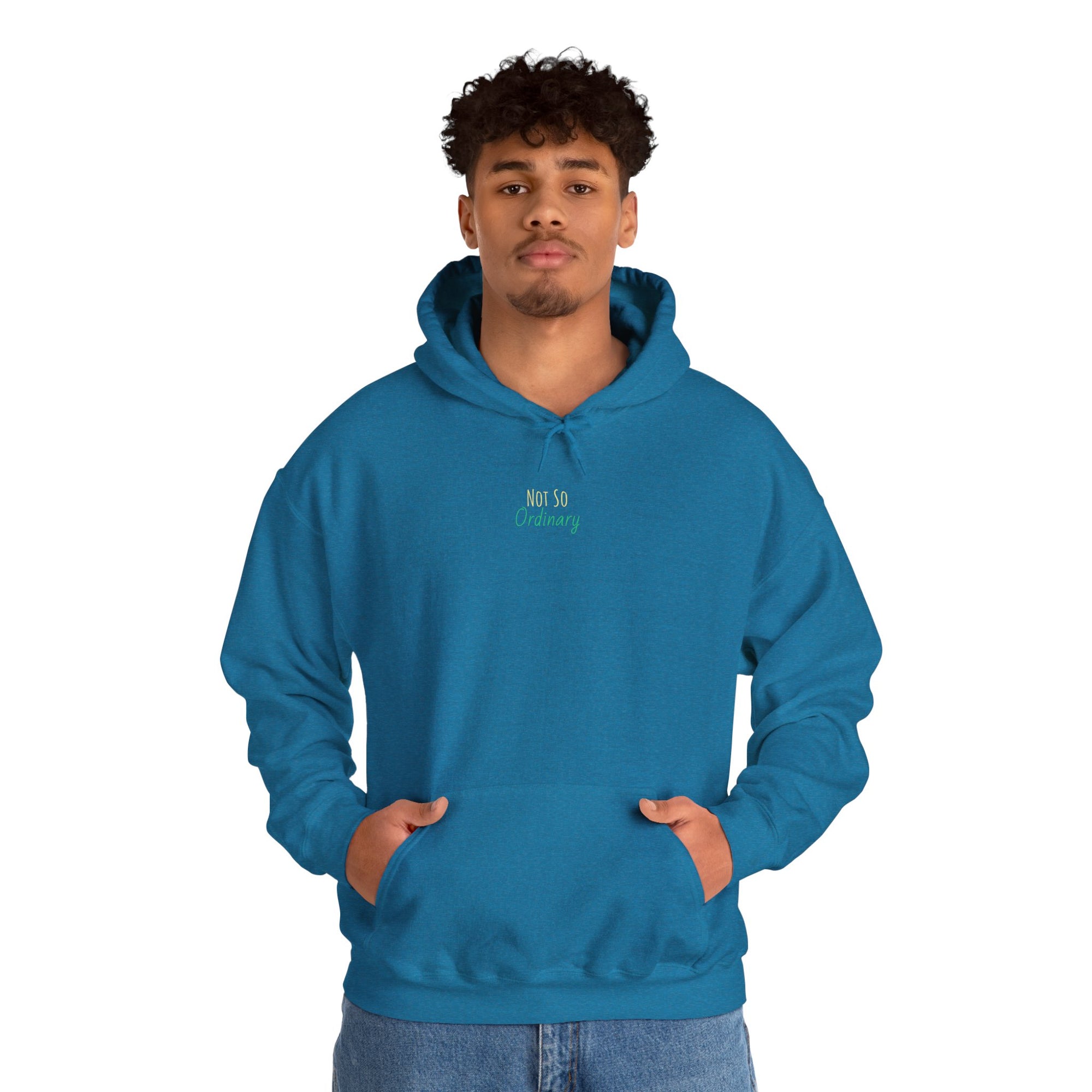Ordinary Unisex Hooded Sweatshirt - Blue