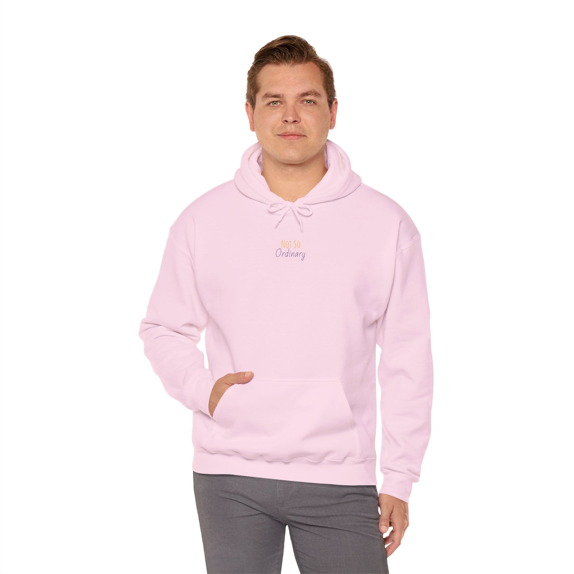Ordinary Unisex Hooded Sweatshirt - Pink
