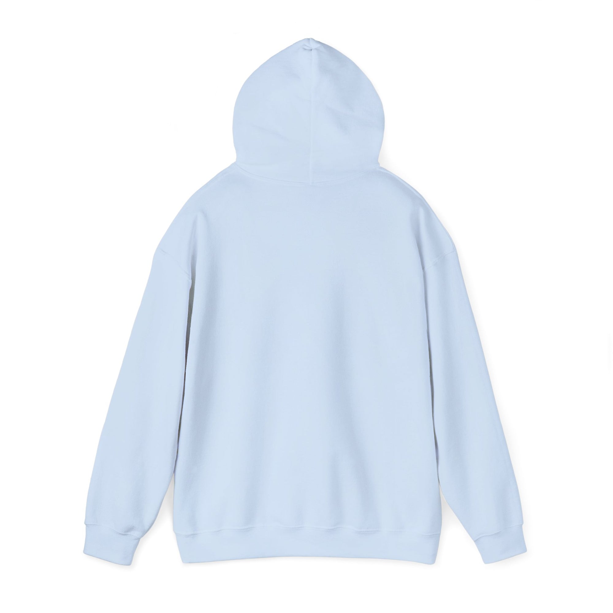 Ordinary Unisex Hooded Sweatshirt - Light Blue
