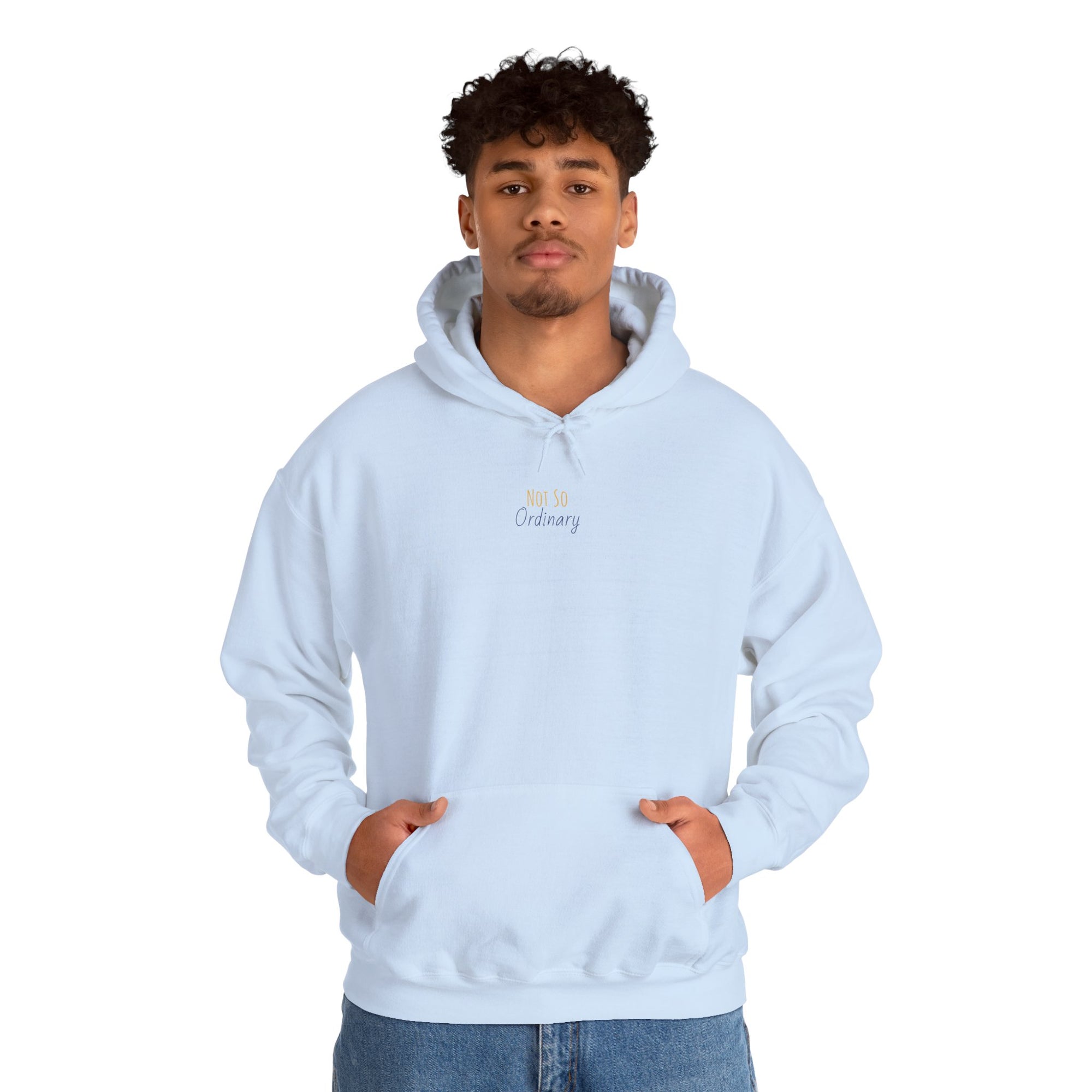 Ordinary Unisex Hooded Sweatshirt - Light Blue