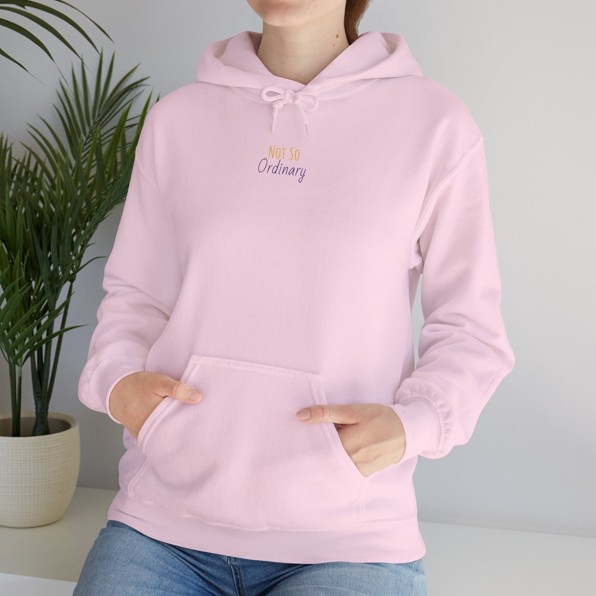 Ordinary Unisex Hooded Sweatshirt - Pink