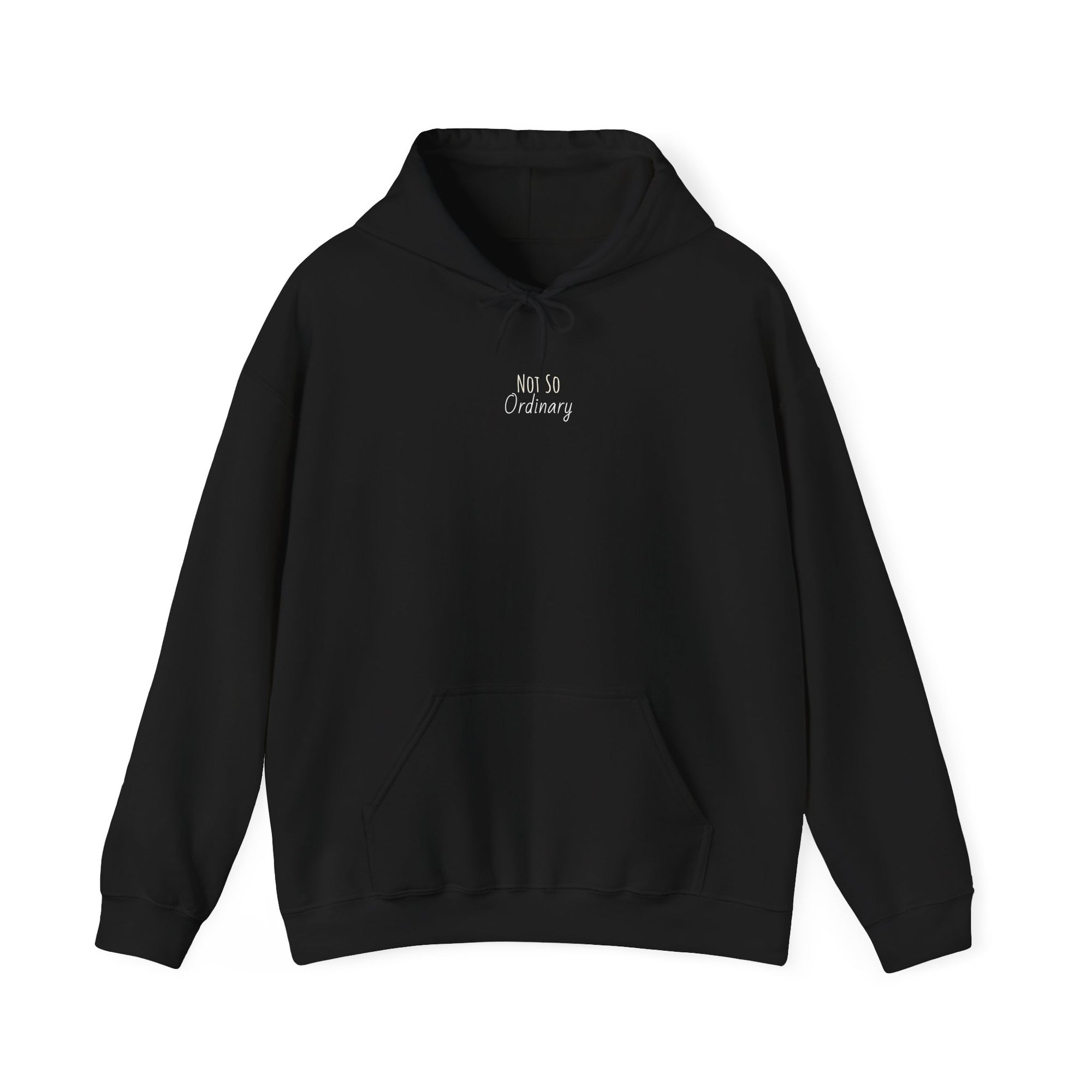 Ordinary Unisex Hooded Sweatshirt - Black