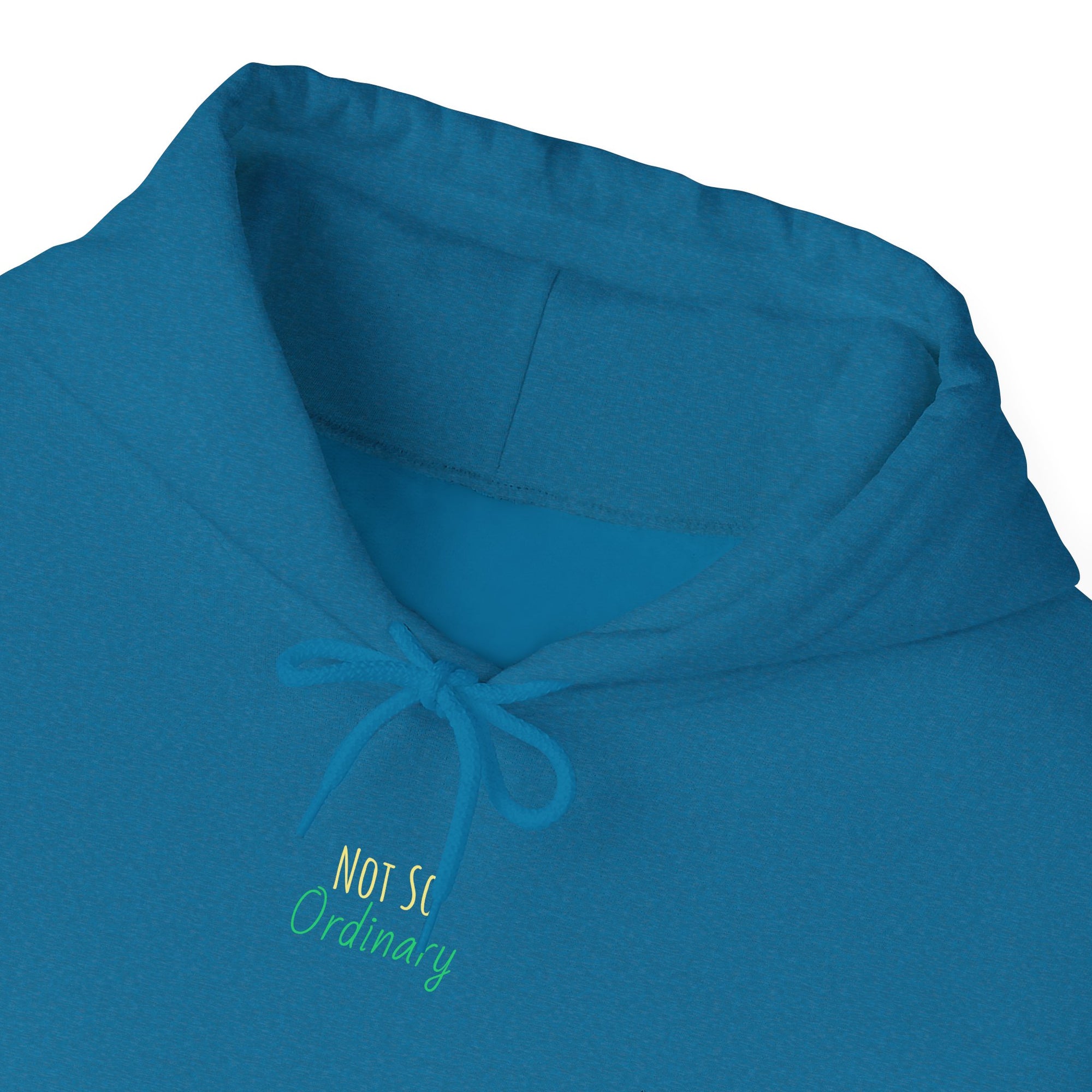 Ordinary Unisex Hooded Sweatshirt - Blue