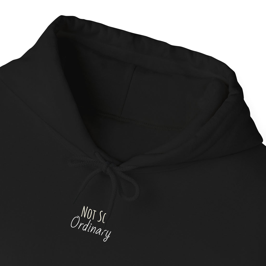 Ordinary Unisex Hooded Sweatshirt - Black