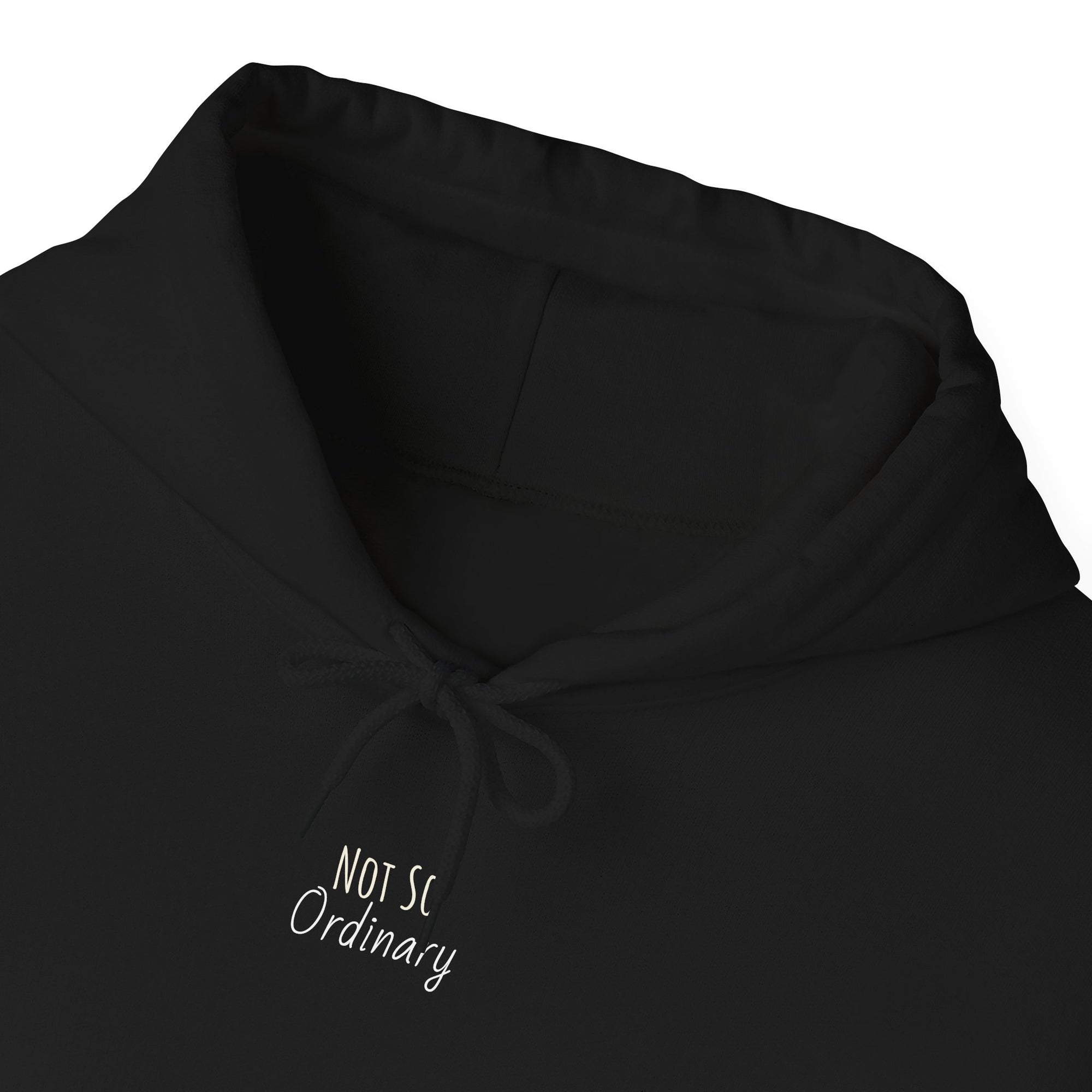 Ordinary Unisex Hooded Sweatshirt - Black