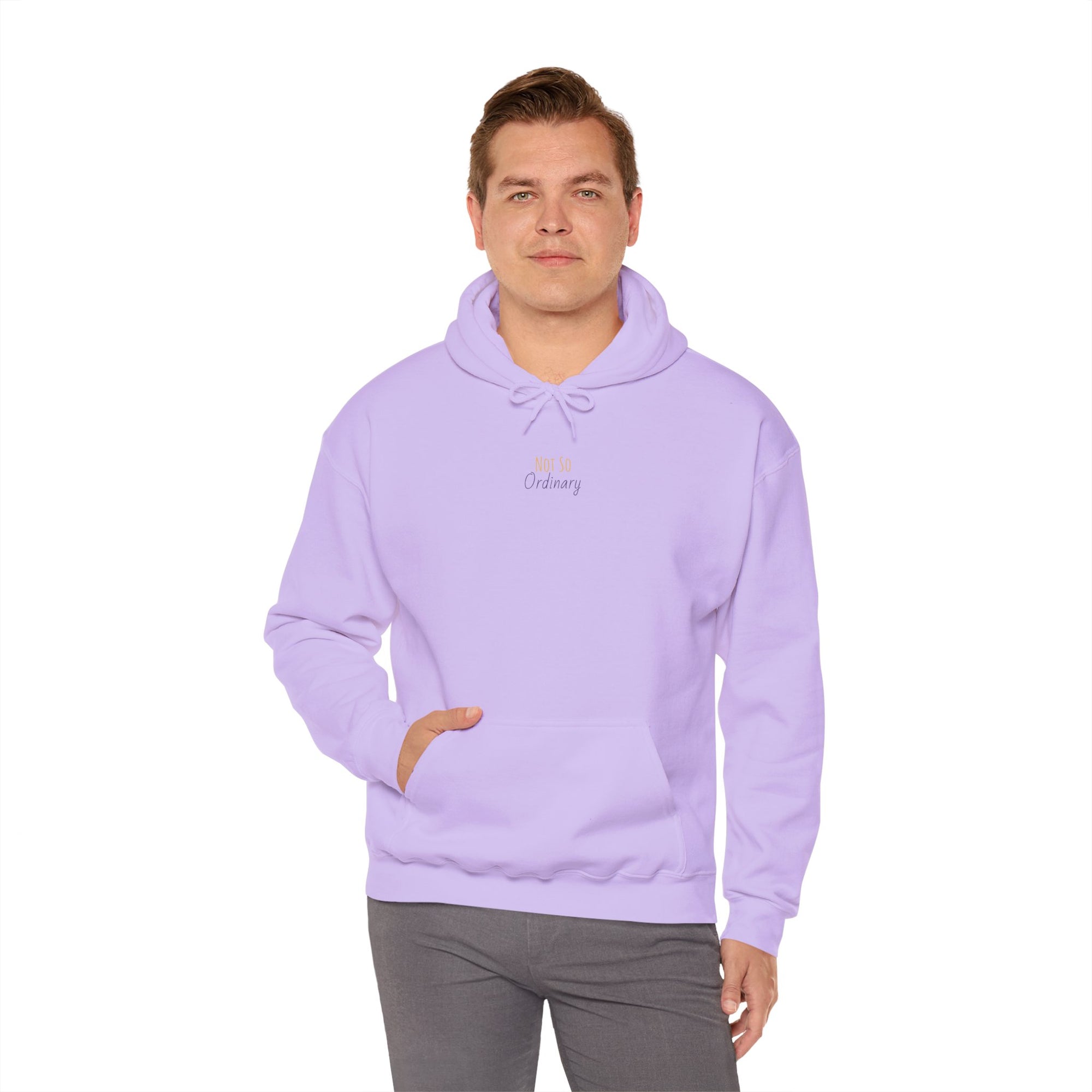 Ordinary Unisex Hooded Sweatshirt - Purple
