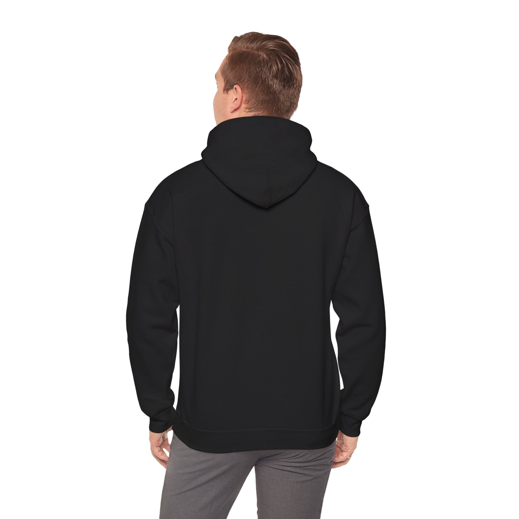 Ordinary Unisex Hooded Sweatshirt - Black