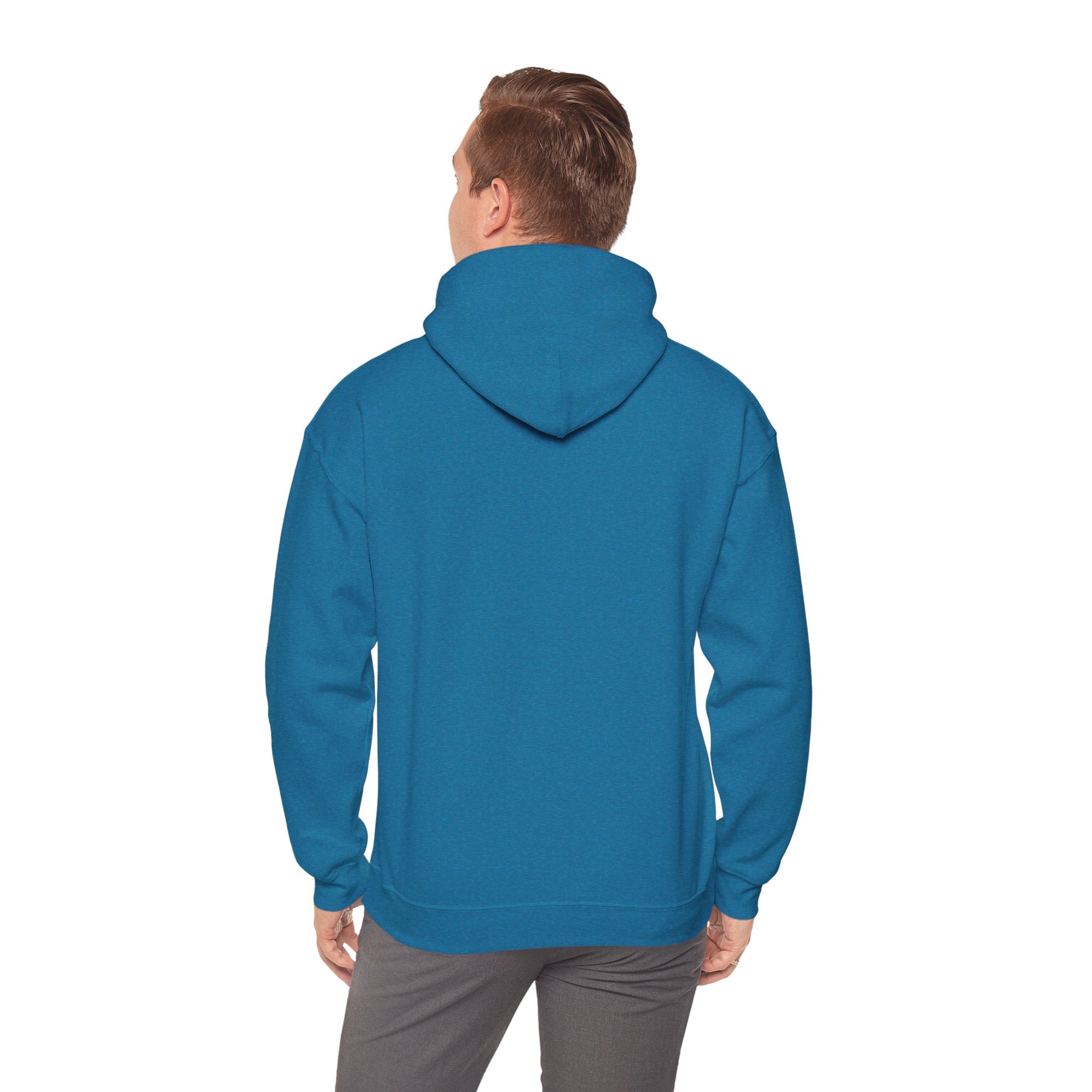 Ordinary Unisex Hooded Sweatshirt - Blue
