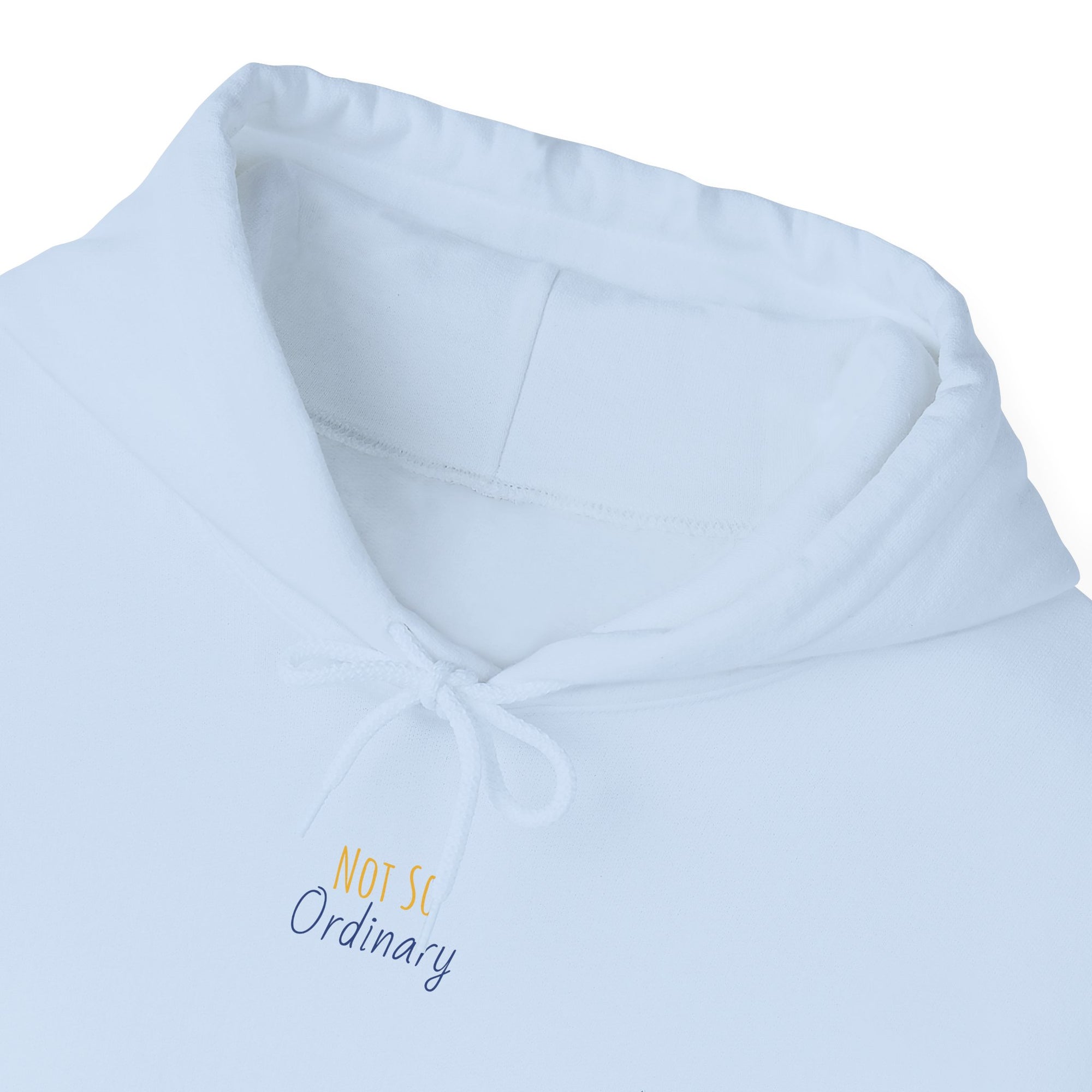 Ordinary Unisex Hooded Sweatshirt - Light Blue